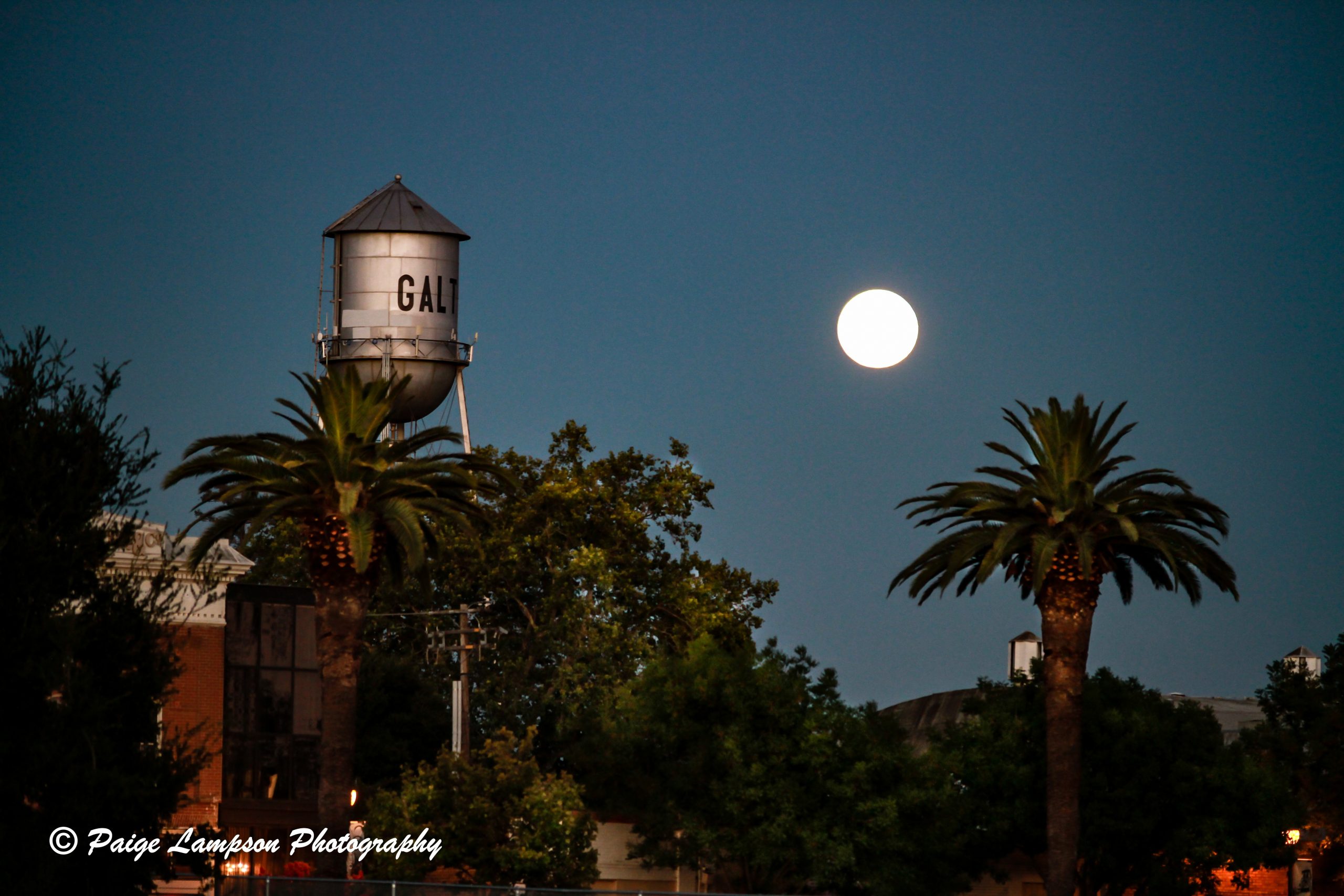 Real Estate Agent In Galt Sandra Properties Inc.